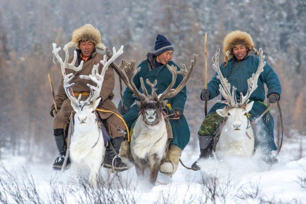 Jahači i goniči sobova