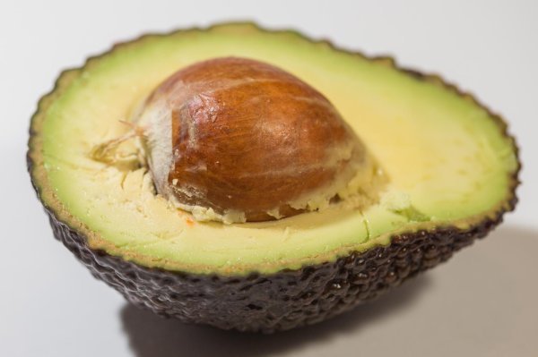 Avokado