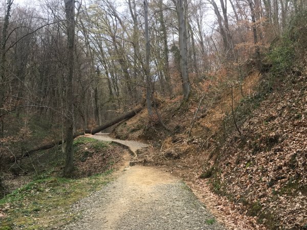 Klizišta na Jelenovcu