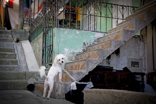 Pablo Emilio Escobar Gaviria , Medelin
