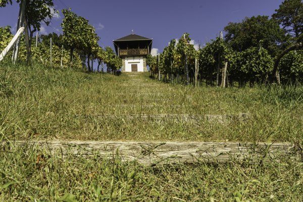 Vinkomir - vinski lokalitet  