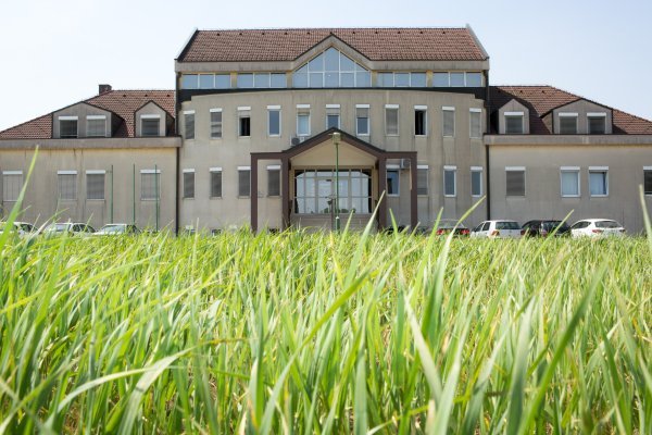 Poljoprivredni institut Osijek okružen je nepreglednim poljima