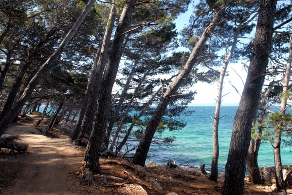 Makarska bike ruta uz more