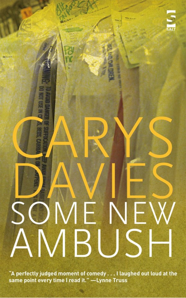 Prvu zbirku kratkih priča 'Some New Ambush' Davies je objavila 2007.