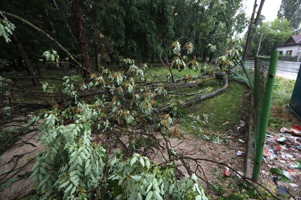 Nevrijeme je čupalo stabla i trgalo grane kod Klinike za psihijatriju Vrapče