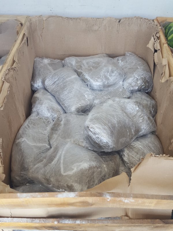 Marihuana zaplijenjena na GP Vinjani Donji