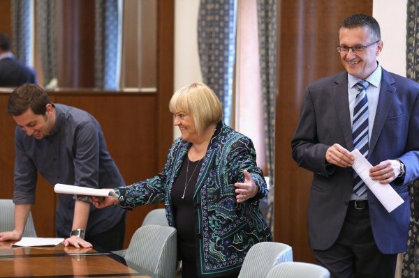 Anka Mrak Taritaš, Goran Beus Richembergh