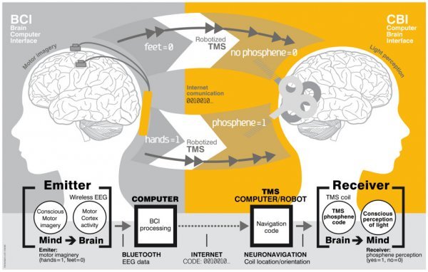 Komunikacija dvaju mozgova na udaljenosti većoj od 8.000km Grau et al/PLOS One
