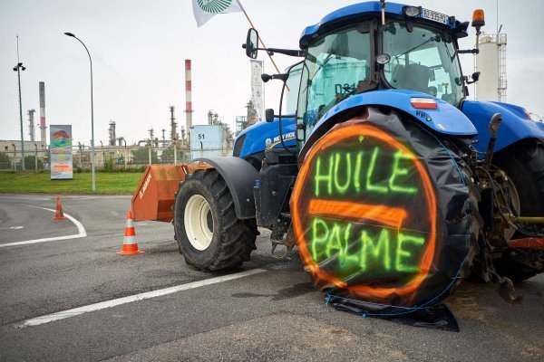 Palmino ulje, prosvjed u Francuskoj