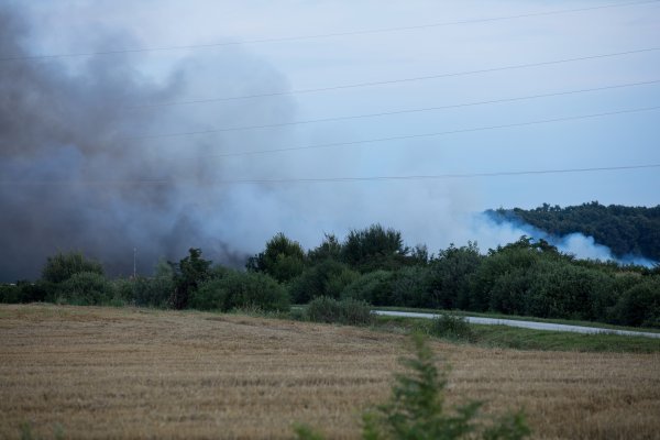 Požar na PIK-ovoj farmi kod Vinkovaca