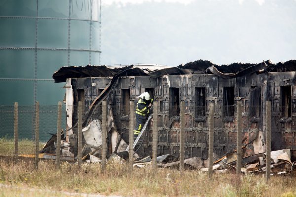Požar na farmi svinja