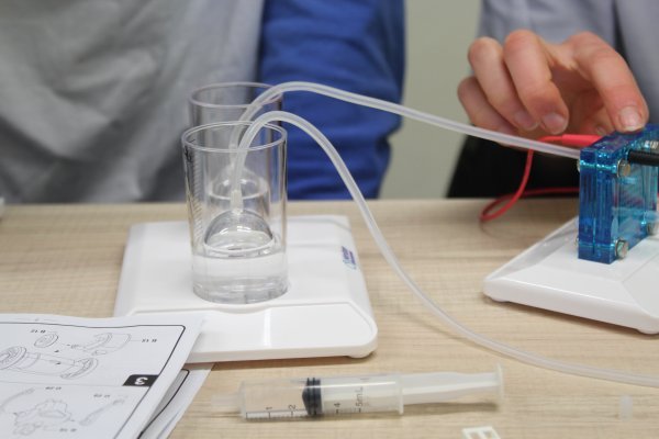 Praktikum prirodoslovlja za darovite učenike u Osnovnoj školi Bartula Kašića u Zadru