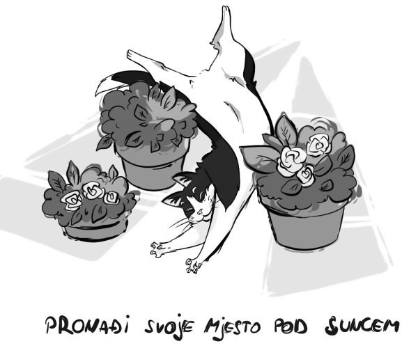 tportal