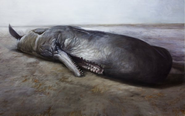 Zlatan Vehabović, Leviathan, 2013.