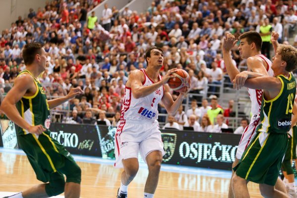 Hrvatska - Litva, Dario Šarić