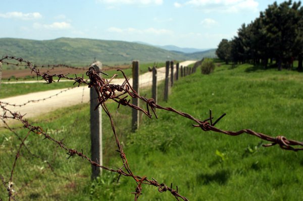 Leo Nikolić