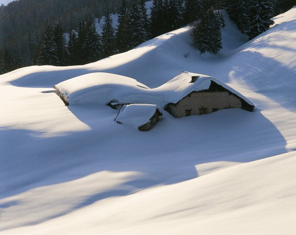 Alm in den Lechtaler Alpen Österreich Werbung