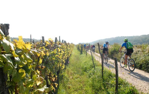 Krk - dolina Žlahtine