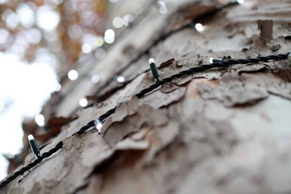 Božićno kićenje Zagreba