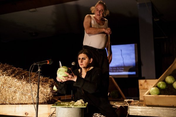 Ljubavni slučaj Fahrije P.