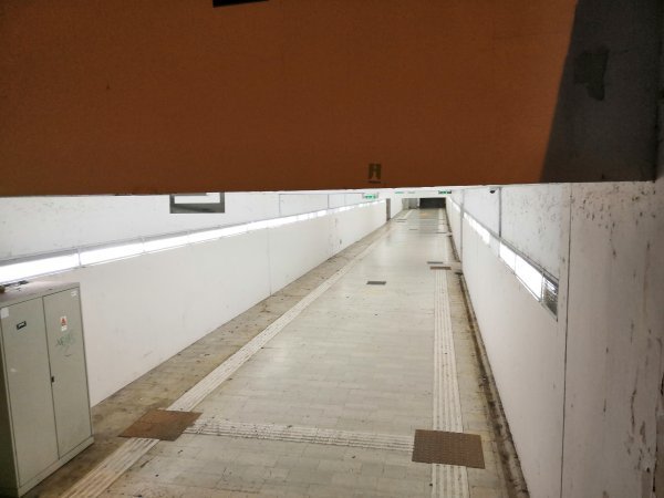 Honor Play - primjeri fotografija