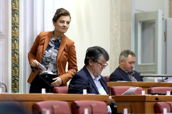 Irena Petrijevčanin Vuksanović