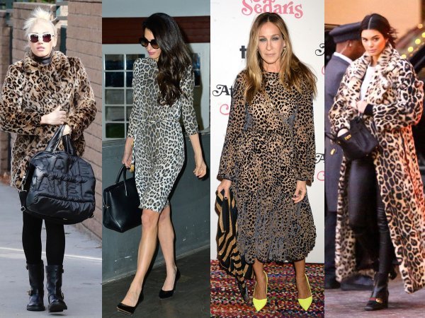 Slavne ljepotice u animal uzorku