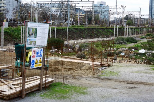 Pripremni radovi na uređenju šetnice u Botaničkom vrtu