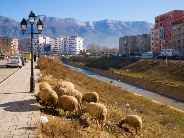 Albansku privredu karakterizira velik udio sive ekonomije, posebno u poljoprivredi