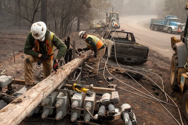 Najveći elektrodistributer u Kaliforniji PG&E zadužen je za održavanje drveća u blizini njihove distribucijske mreže