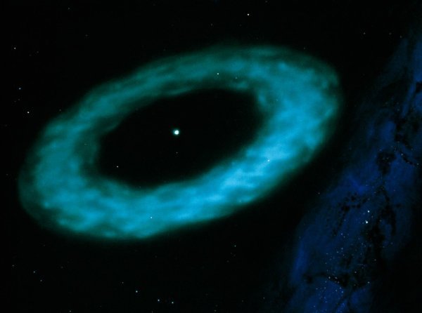 Vega