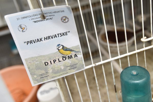 Diplomama u Hrvatskoj nedostaje zaštite, pa su meta krivotvoritelja