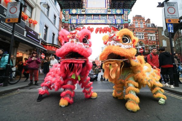 Kineska godina svinje