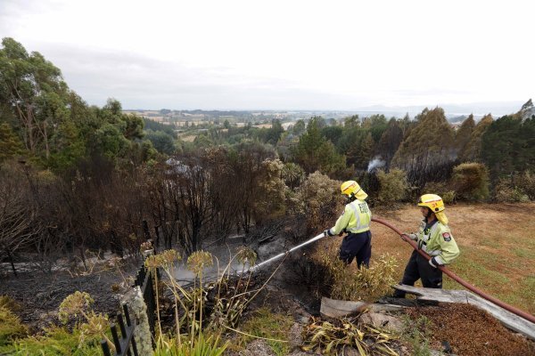 Požar na Novom Zelandu