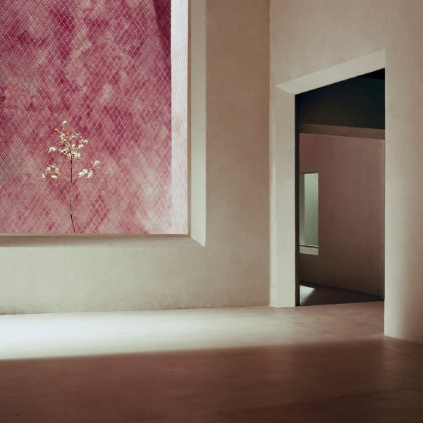 Francesca Torzo, Galerija n09 -z33 u Hasseltu u Belgiji