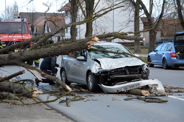 Kesten pao na auto u vožnji