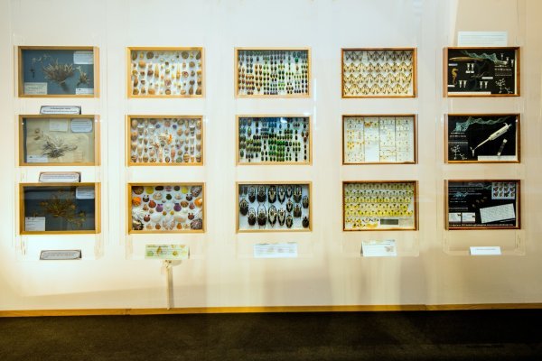 Hrvatski prirodoslovni muzej