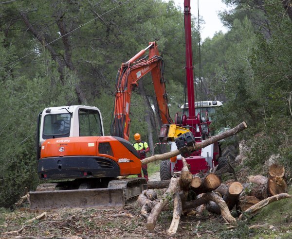Damir Krstičević na Marjanu