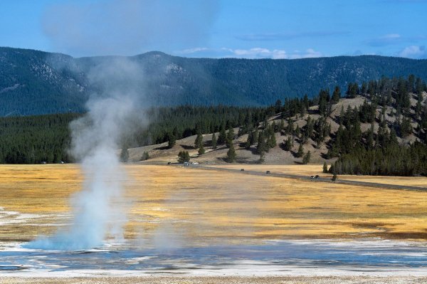 Yellowstone