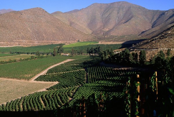 U Čileu su vinogradi tek jedna od znamenitosti koje privlače turiste