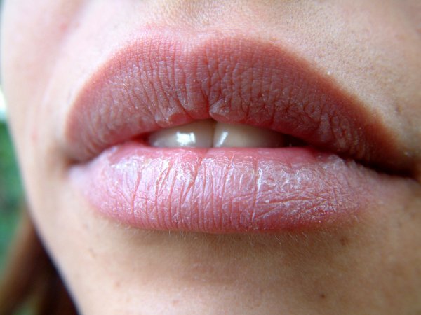 sxc.hu