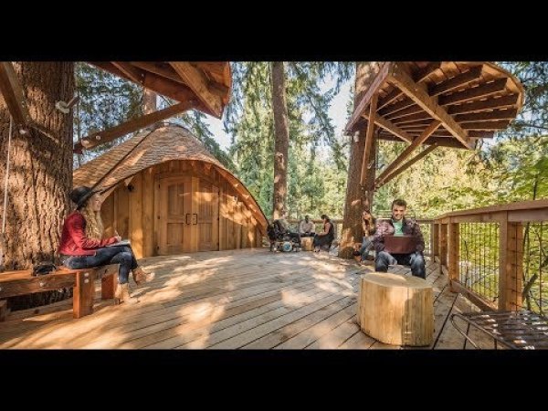 Microsoft - kuće na drvetu za sastanke