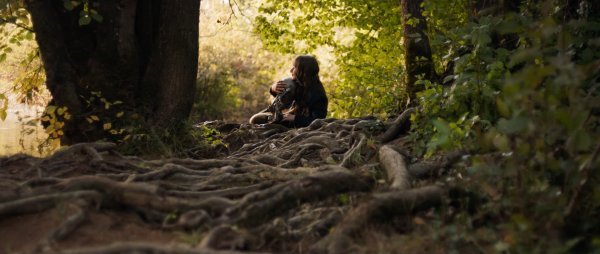 Moj dida je pao s Marsa