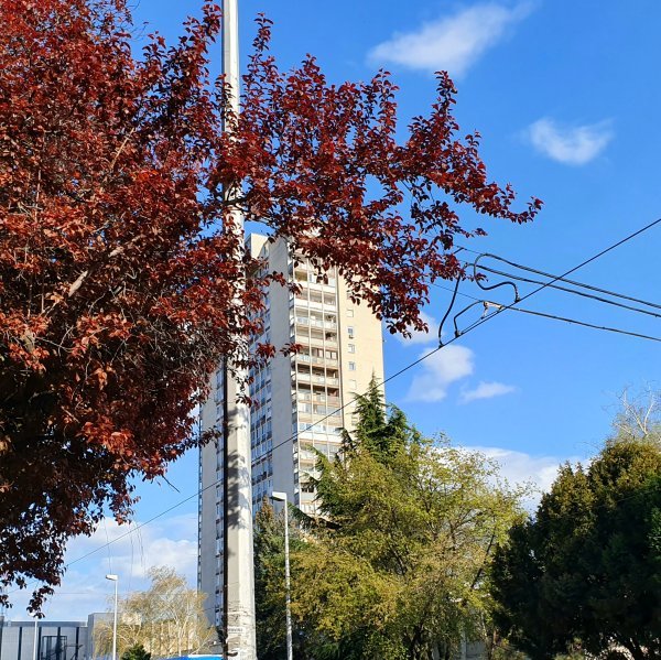 Samsung Galaxy S10+ primjeri fotografija