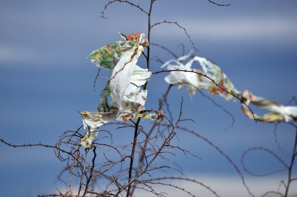 Zbog ljudskog nemara priroda je zagađena tonama plastike