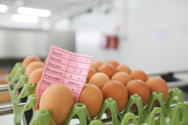 Polovinu jaja, oko 20 milijuna, izvoze na europsko tržište