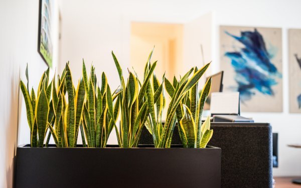 Interijeri s potpisom tvrtke Moj balkon