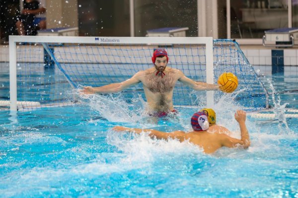 VK Jug CO (Toni Popadić) - HAVK Mladost